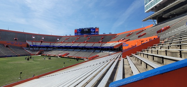 球隊未來的 球隊未來的