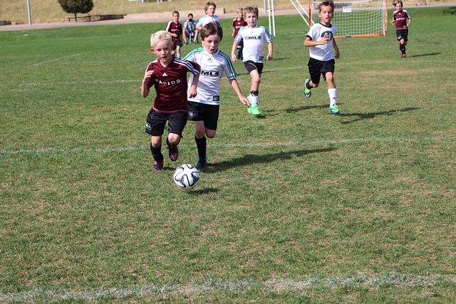 经验和进攻 经验和进攻