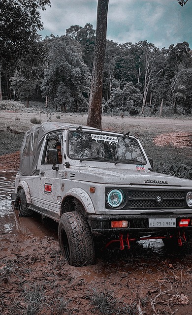 要在与这些 要在与这些