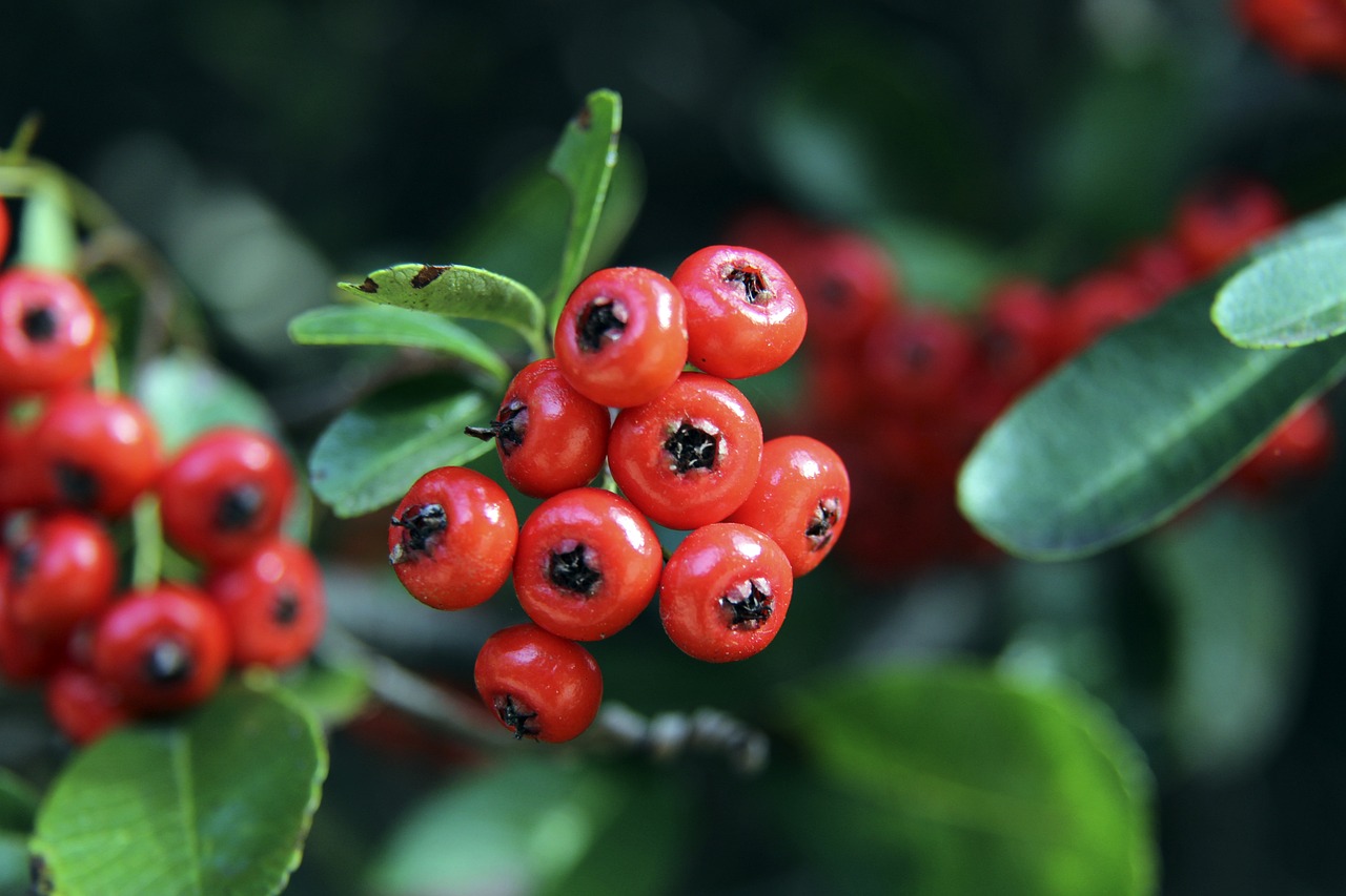 既没有防守 既没有防守